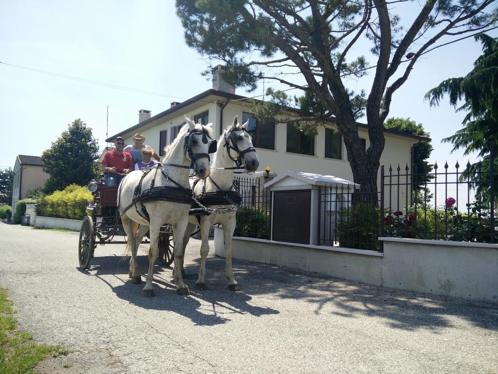 La Siesta Hotel Villafranca di Verona Ngoại thất bức ảnh