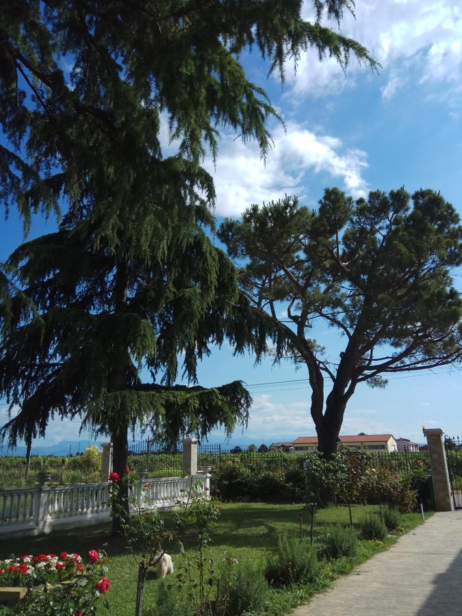 La Siesta Hotel Villafranca di Verona Ngoại thất bức ảnh